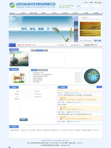 濟(jì)南數(shù)字化轉(zhuǎn)型核心服務(wù)解析 從電商建設(shè)到智能系統(tǒng)定制